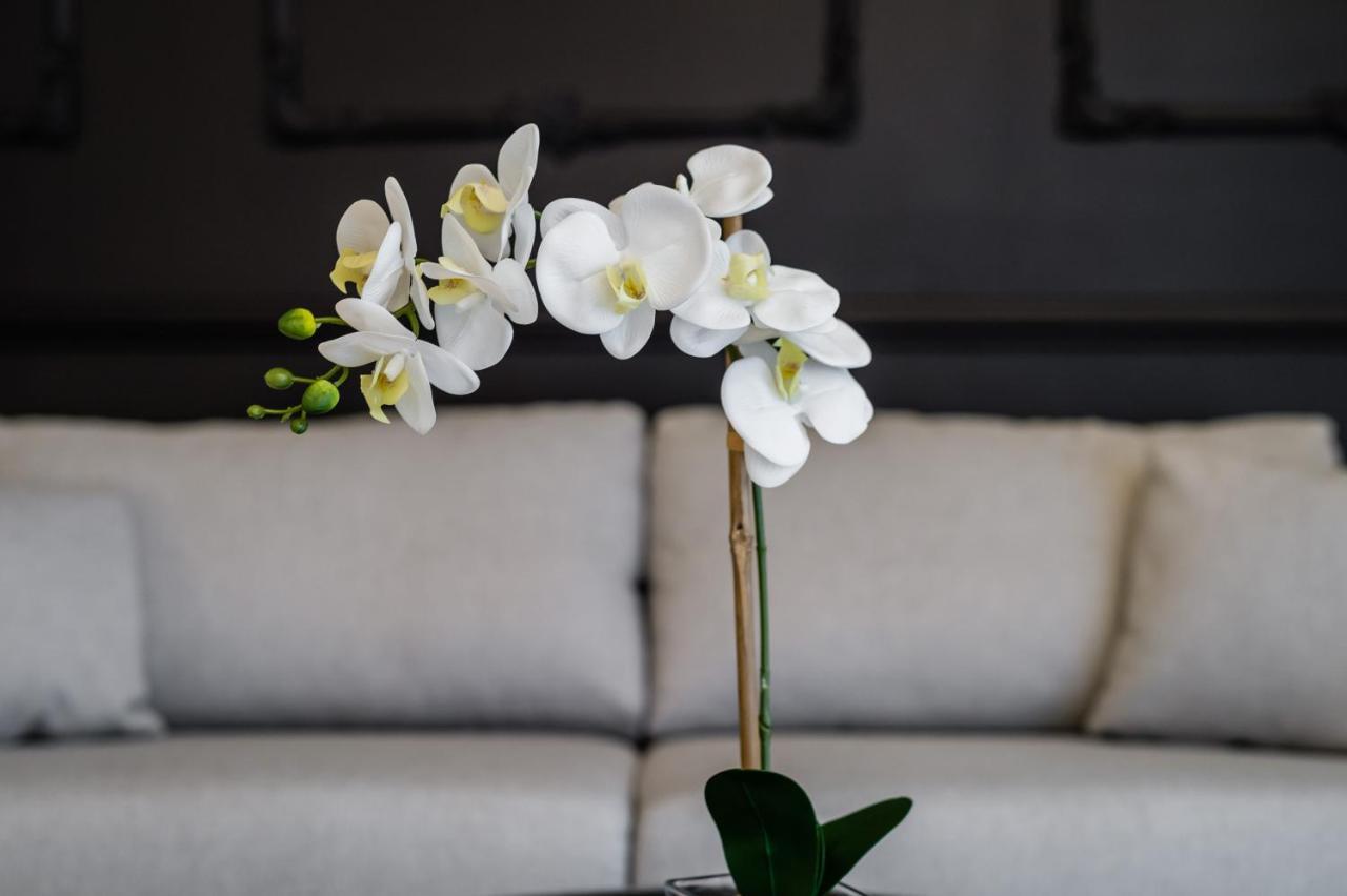 Groble Deluxe Apartments Wawelofts クラクフ エクステリア 写真